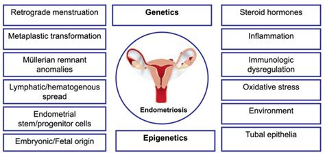 pathophysiology of endometriosis pdf